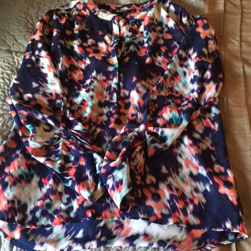 Multi-color Blouse
